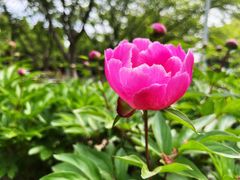 -白塘生态植物园