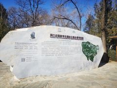 -周口店北京人遗址公园