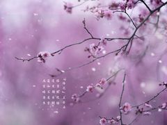 -白塘生态植物园