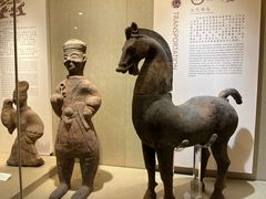 -乐山市博物馆