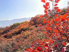 -周口店坡峰岭风景区