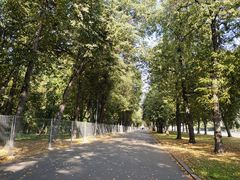 -莫斯科大学