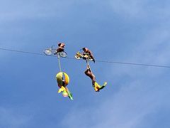 -栾川竹海野生动物园