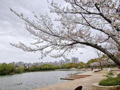 -新江湾城公园