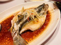 清蒸豉油鲜鲈鱼-国贸格兰维大酒店-山城映像中餐厅(青年路店)