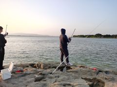 -八仔大富楼·河鲜(西江店)