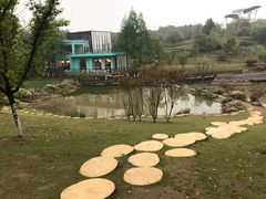 -铁山坪森林公园