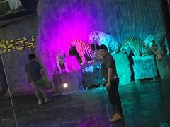-清迈夜间动物园