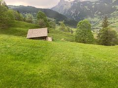 -因特拉肯贝乌里瓦奇大酒店