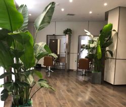 -崇尚GAVIN STYLE臻选