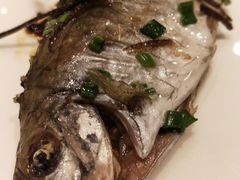 -桃源春晓中餐厅 TaoYuan Restaurant