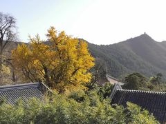 -潭柘寺景区