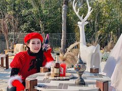 -HERRE·FARM 赫尔露营农场·团建聚会包场