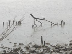 -深圳湾公园(南山区)