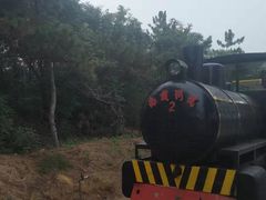 -南戴河国际娱乐中心