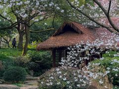 -中国茶叶博物馆(双峰馆区)