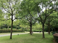 -黄兴公园