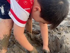 -南汇嘴观海公园