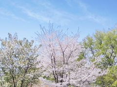 -南京特殊教育师范学院(燕子矶校区)