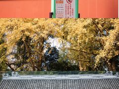 -成都杜甫草堂博物馆