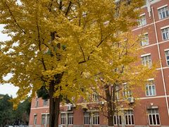 -四川大学(望江校区)
