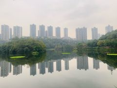-重庆彩云湖湿地公园