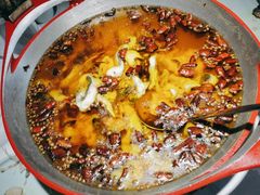 -雲蜀龙阁·金牌水煮鱼(方庄店)