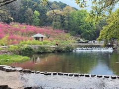 -广州市石门国家森林公园