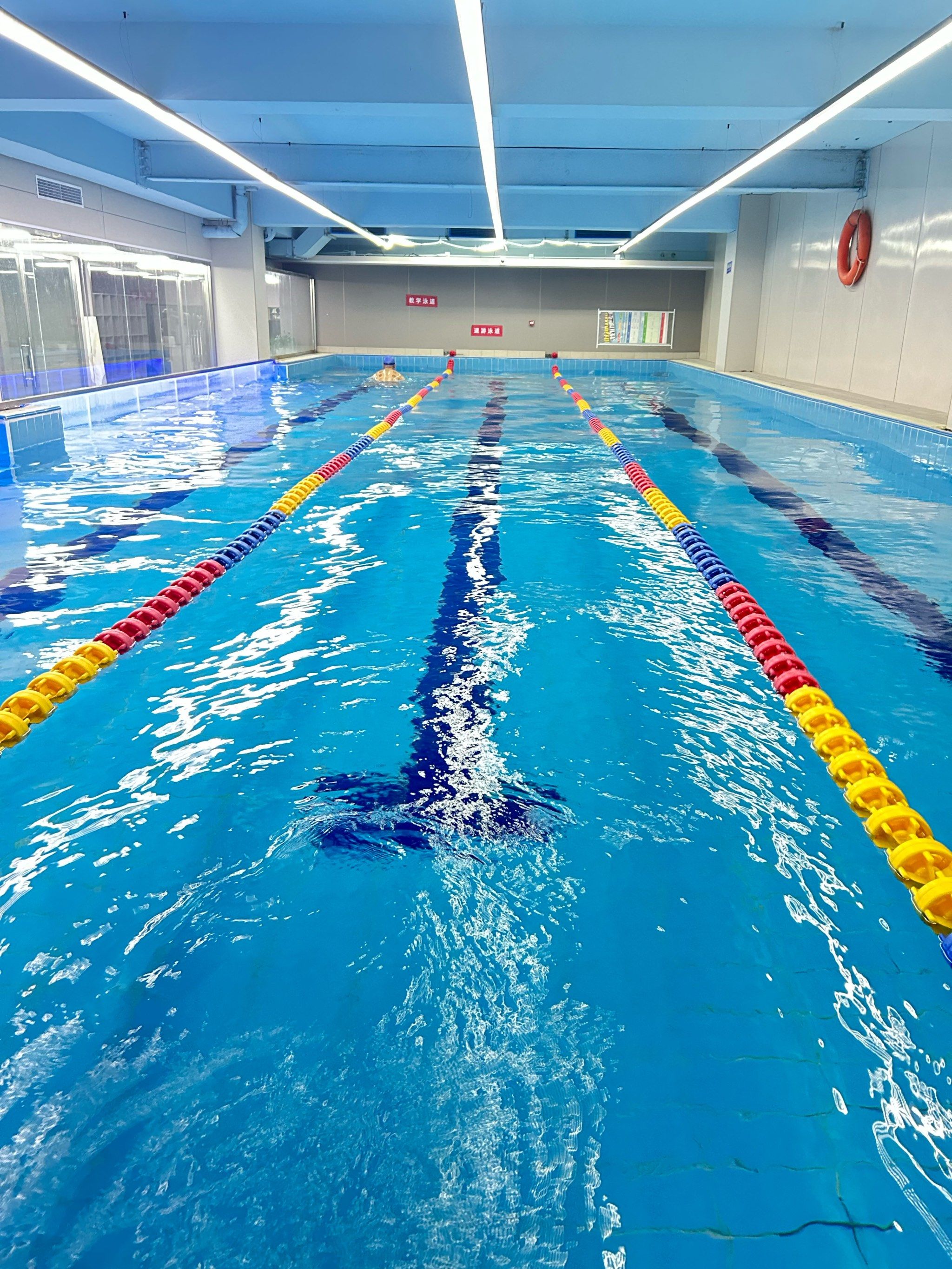 学游泳的快乐日记