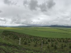 -扁都口生态休闲旅游区