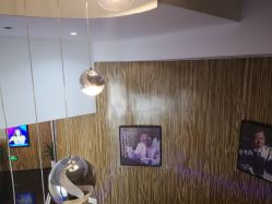 -比华利美容医院