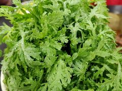 -芦月轩羊蝎子(太平桥店)