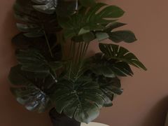 -端艾堂·SPA·艾灸(棕榈泉013店)
