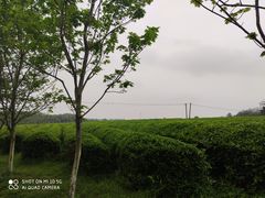 -凤凰沟景区