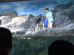 -暹罗海洋世界