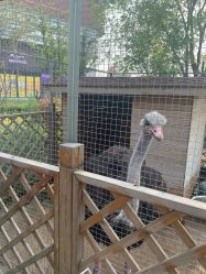 -萌宠亲子动物乐园(槐房万达店)