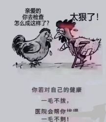 -香薇妮丝·定制减肥·身材管理
