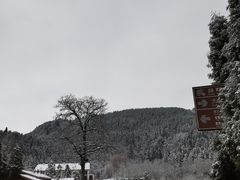 -武陵山森林公园