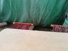 -王记西鎮电烤肉(汶上路店)