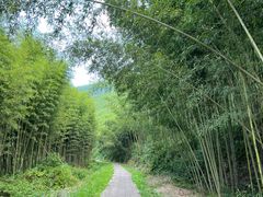-莫干山风景区