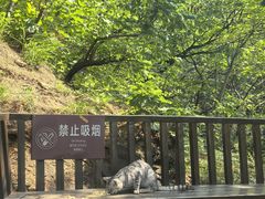 -青岩寺风景区