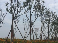 -武汉紫薇都市田园