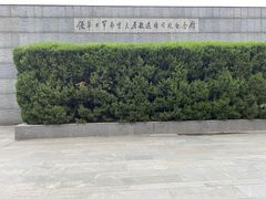 -侵华日军南京大屠杀遇难同胞纪念馆