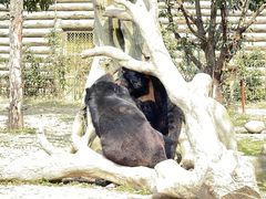 -常州淹城野生动物世界
