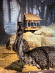 -酷嗒动物文化乐园(cutezoo西溪乐天城店)