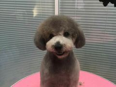 -瑞派·关忠动物医院·猫专科·犬专科(三环新城店)