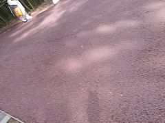 -洛阳市隋唐城遗址植物园