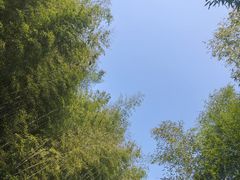 -众神白水涧景区