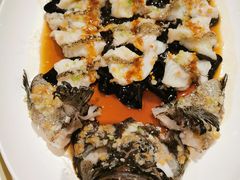 古法蒸老虎斑-利苑酒家(金宝店)