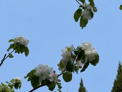 -明湖楼·经典鲁菜山东海鲜(大明湖店)